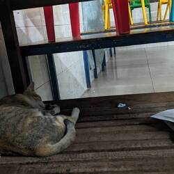Snoozing on the job