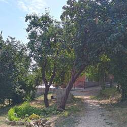 Siellä pilkottaa majotus David gesthouse