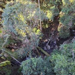 Skywalk, Mt Tamborine