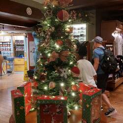 Frohe Weihnachten 😅