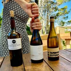 We tasted another varietal from the region, a Bobal and a Chardonnay- our favorite was the Chardonay