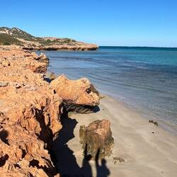 Morgenspaziergang- Coral Bay links