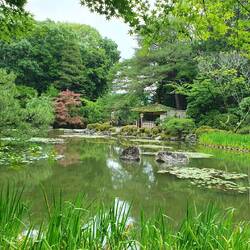 Blick auf den Garten.