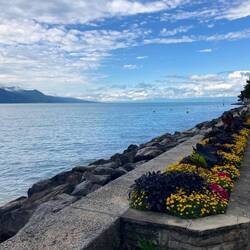 Vevey