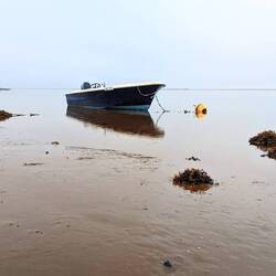 Hinter dem Boot wäre noch einiges zu sehen, wäre da nicht der Nebel 🤣