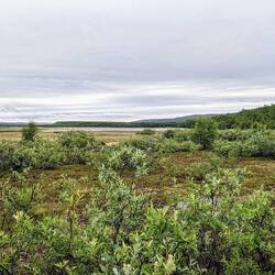 Der Nebel lichtet sich