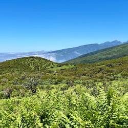 Blick zum Pico Ruivo, höchster Berg Madeiras