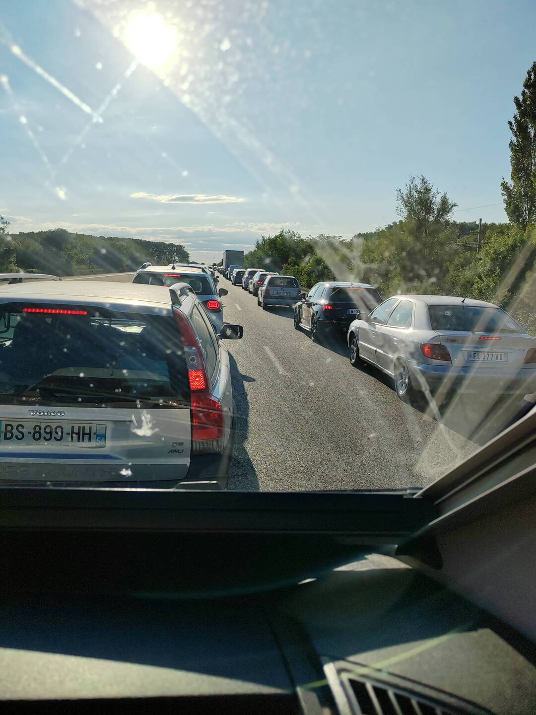 Gužva