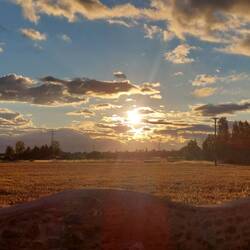 Sonnenaufgang um sieben herum. Die schönste Zeit zum Laufen.