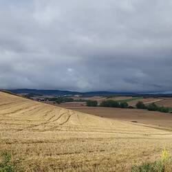 Blick vom Ortsende auf die Feldlandschaft hinter Grañón.