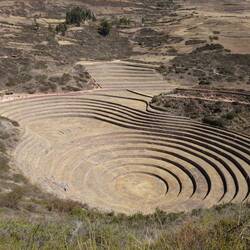 Moray