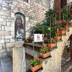 People seem to congregate here. I assume Yogi Bear precipitated the signage.