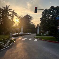 Bel Air