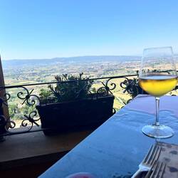 The lunch view. The wine was a grechetto-Chardonnay blend. Delicious!