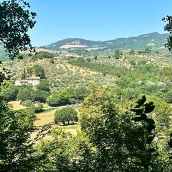 ... and the view from the trail between the trees