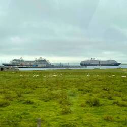 Azamara and Holland America Zuiderdam at Kirkwall, Orkney.