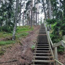 Abstecher auf die Grünen Dünen
