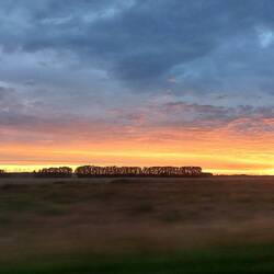 Welcome home Pt.II 🥰