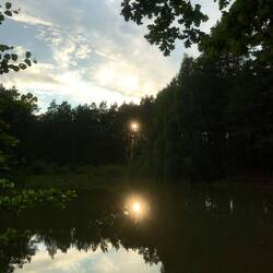 Kurz hinter Möllensdorf