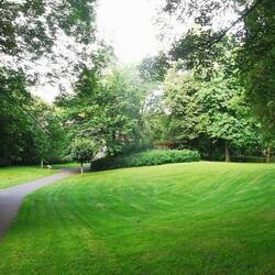 Schlittenberg Nummer zwei