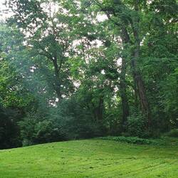 Unser Schlittenberg im Sommer - dass das genug Gefälle war 😂