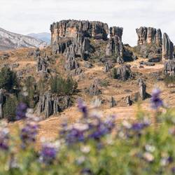 Ausflug zum Steinwald Cumbemayo