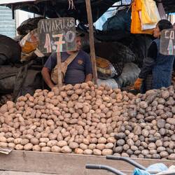 Papas in allen Variationen