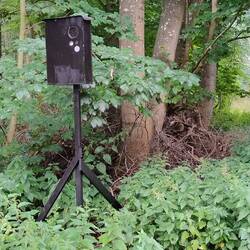 Fotoapparat. Analog. Kurz hinter dem Ortseingangsschild.