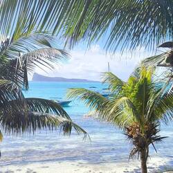 ganz hinten das Naturschutzgebiet "Coin de Mire"