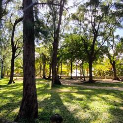 "Bain Boeuf Public Beach"