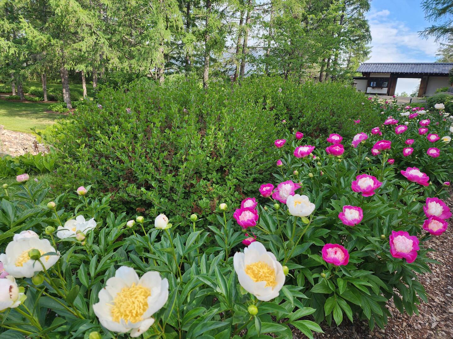 University of Alberta Botanic Garden
