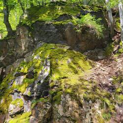 Eine kleine Aufheiterung.