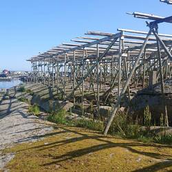 Les séchoirs à morue