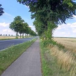 So langweilig wie nie, meine Messeta. Un da wurden die Autos gelöscht.