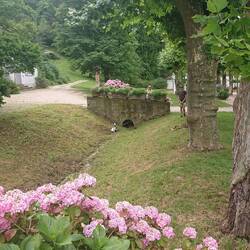 Walking up to Staatspark Furstenlager