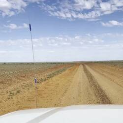 Where did all the trees go?