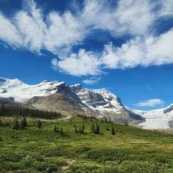 Columbia Icefields