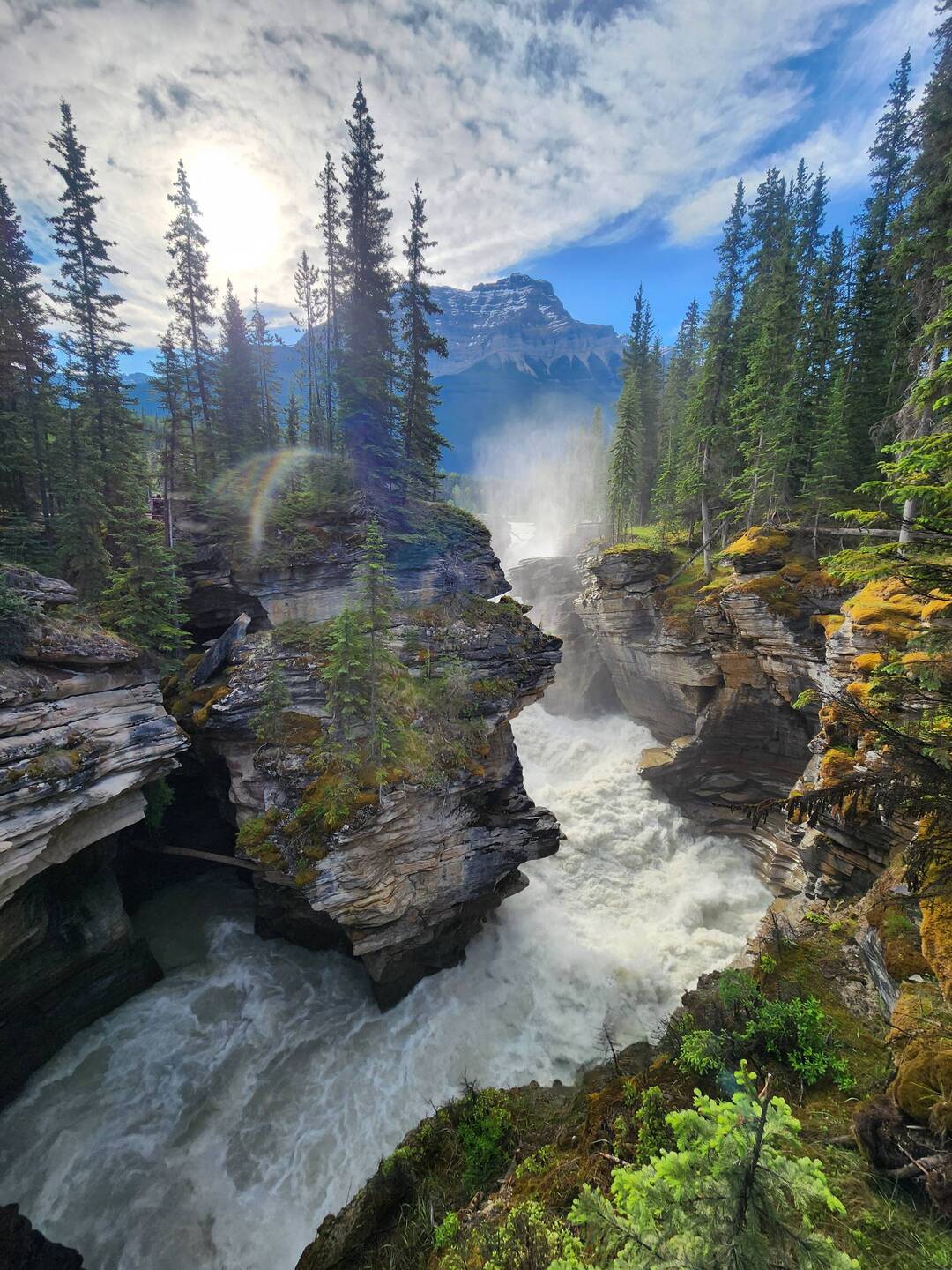Athabasca Falls