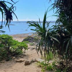 Die Vegetation erinnert sehr an die Karibik.