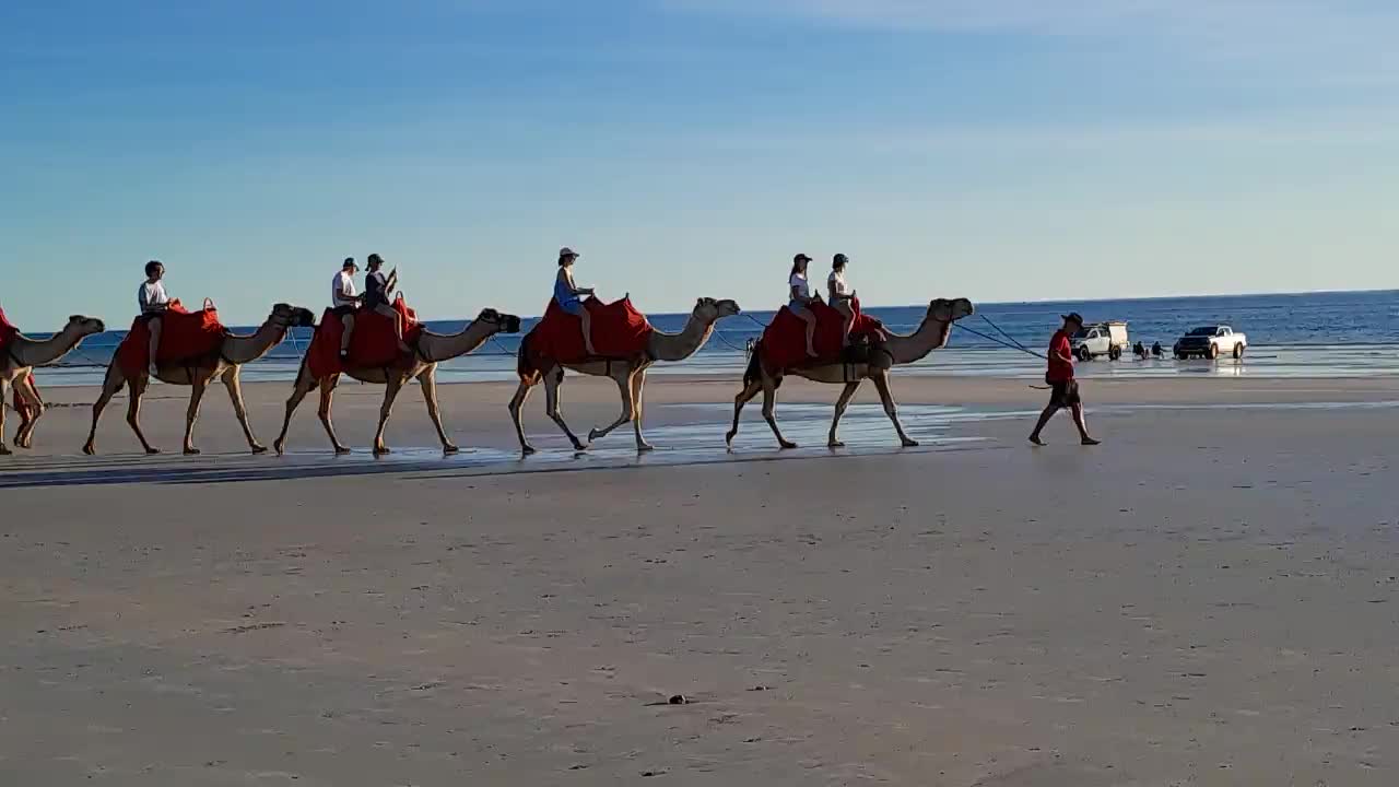 Cable Beach and the Camels. We had a ride a long time ago and it's quite a strange experience