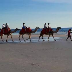Cable Beach and the Camels. We had a ride a long time ago and it's quite a strange experience