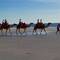 Cable Beach and the Camels. We had a ride a long time ago and it's quite a strange experience