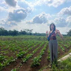 Tobacco fields and me
