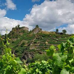 Burgruine Saffenberg