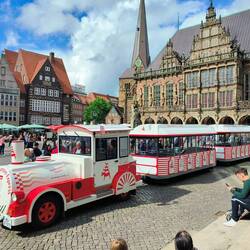 I took this tourist train to sightsee. Saved my foot! German commentary though