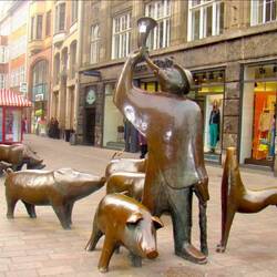 The Shepherd and his pigs