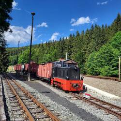 ....ob es besser wäre, den Zug zu nehmen.