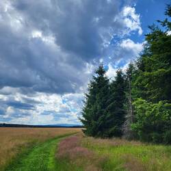 Nach der Mittagspause lässt meine Aufmerksamkeit nach und ich komme weit vom Weg ab.🤔