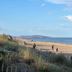 Wieder zurück, Blick auf Sête
