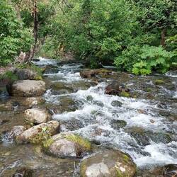 Rastplatz am Seward Hwy